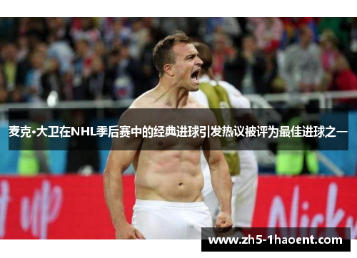 麦克·大卫在NHL季后赛中的经典进球引发热议被评为最佳进球之一